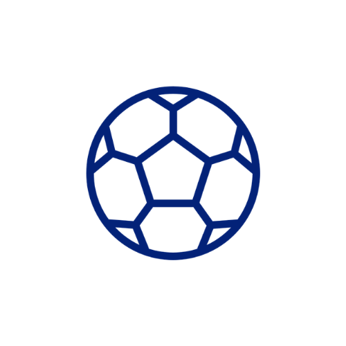 Soccer ball icon