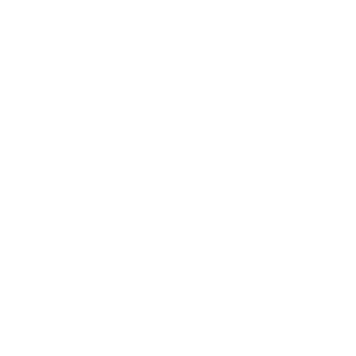 Basketball icon