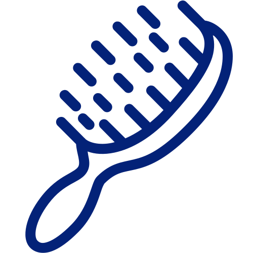 Hairbrush icon